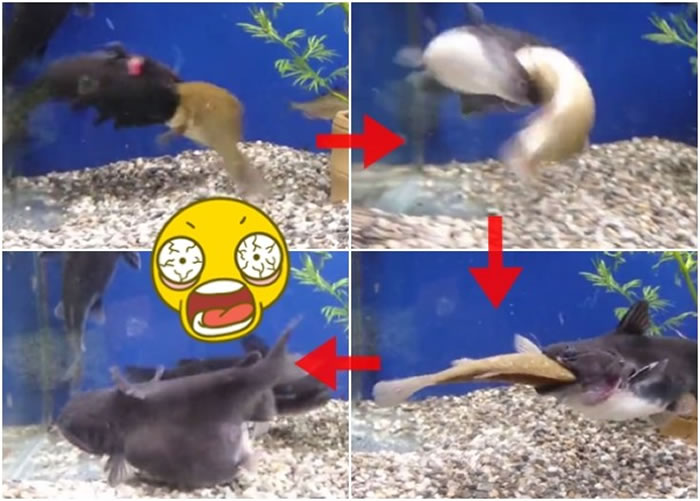 �ڵ������������һ�β���ӰƬ��Ƭ��һ��������̵�����һ�����㡣