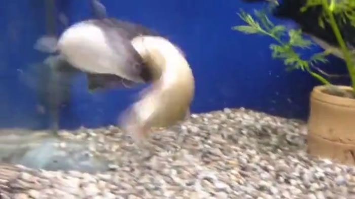 �������������