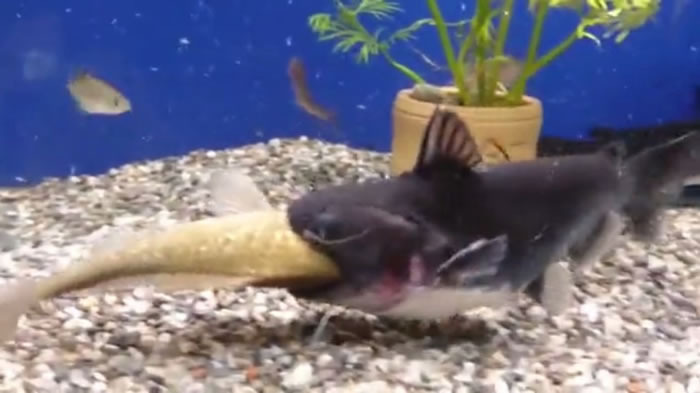 ����ʼ�ղ����ײе����㡣