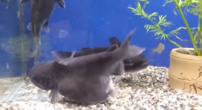 ������������󣬸������͵ø�����һ����