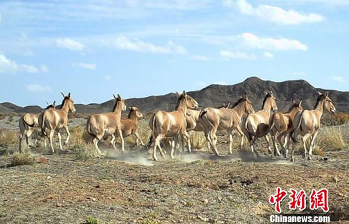 ͼΪ㵽ĹʱΣɹҰ¿ȺȻֹͼ