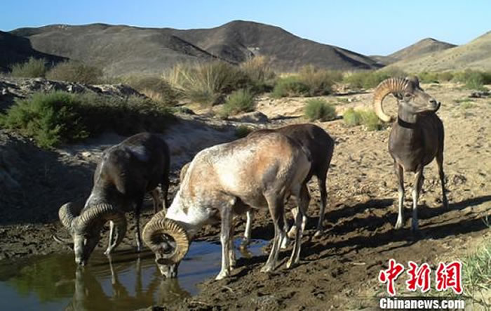 ͼΪ㵽ĹҢص㱣򡣰Ȼֹͼ