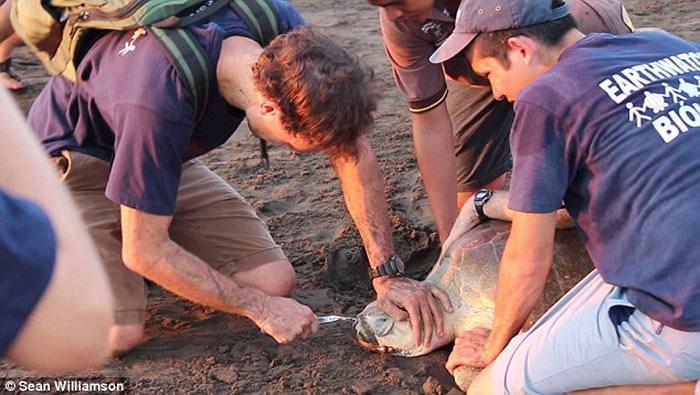 �����޾�Ԯ��Ա�ڸ�˹����Ӻ���Ϊһֻ��P��ȡ���ǿ��е����ϲ�