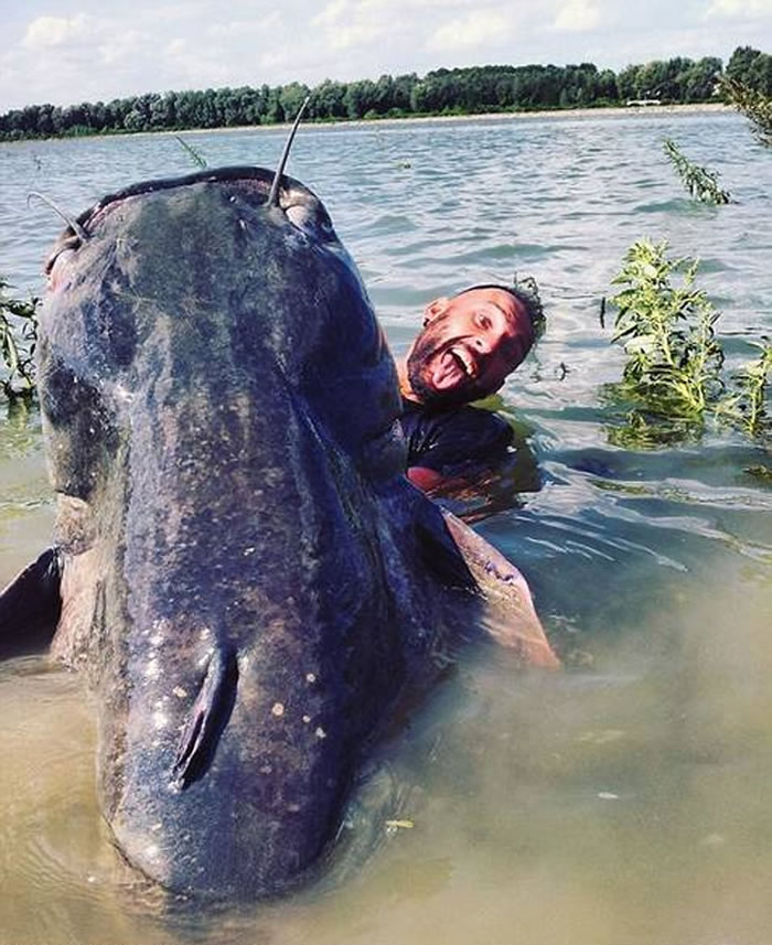 ���������Yuri El Diablo Grisendi����һ���ش�120��������