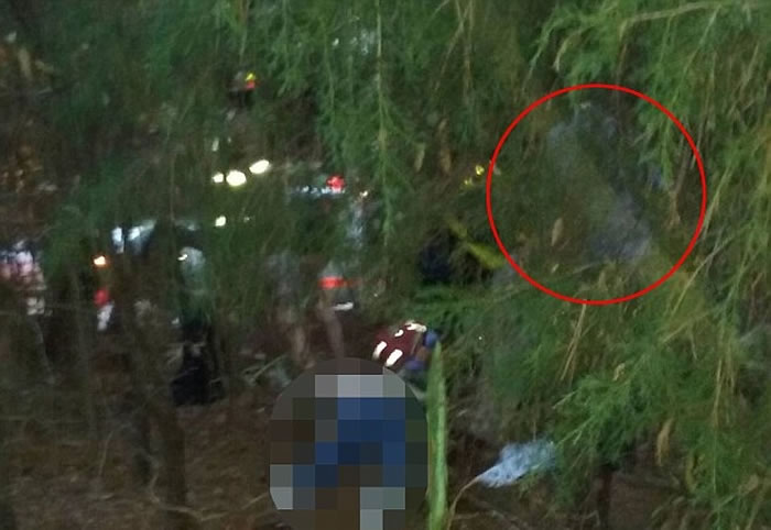 克拉里声称该光团是一位天使(红圈示)。