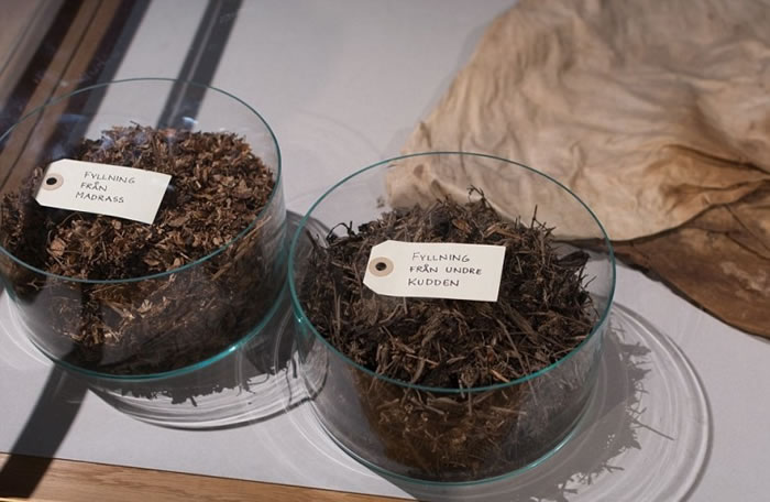 ˯���ڵ�ֲ�����