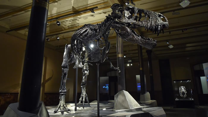 Tristan Ottoڵ¹ȻʷԺչ