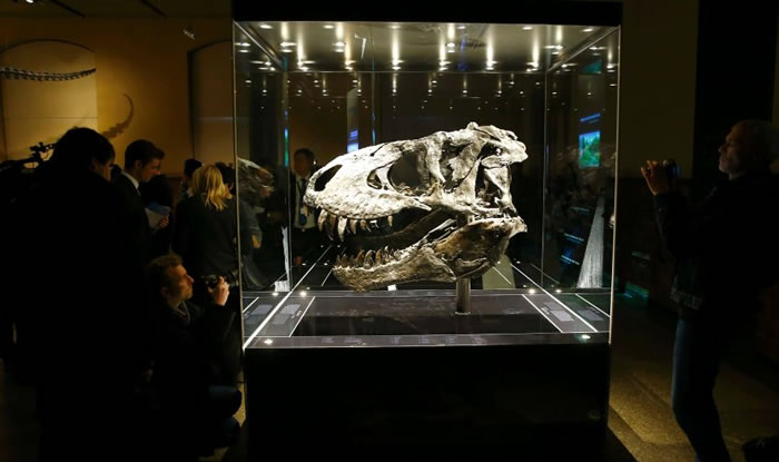 Tristan Ottoڵ¹ȻʷԺչ