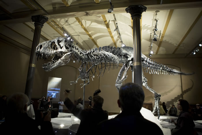 Tristan Ottoڵ¹ȻʷԺչ