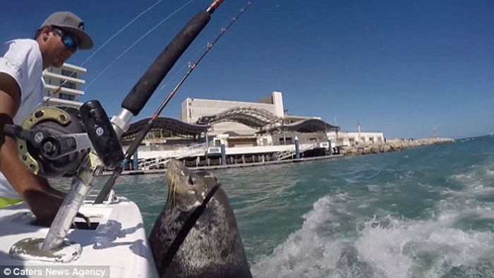 ī�������Ƥ��ʨ���ٺ����� Ҫ����������Ц��