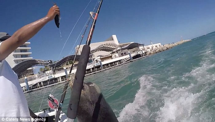 ī�������Ƥ��ʨ���ٺ����� Ҫ����������Ц��