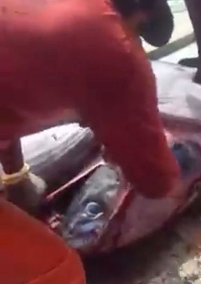 �����������������޴��ޱȵ������� �ʿ��㸹��Ȼ����һ�����ǹ��