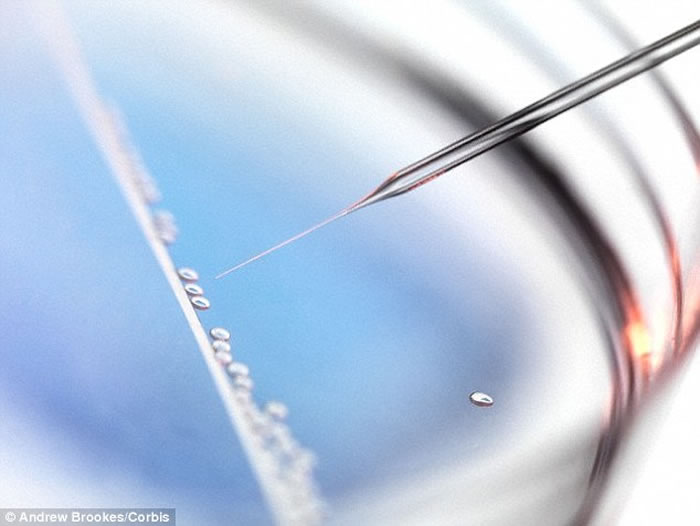 狗的驯化可能无意中导致有害遗传变化的富集