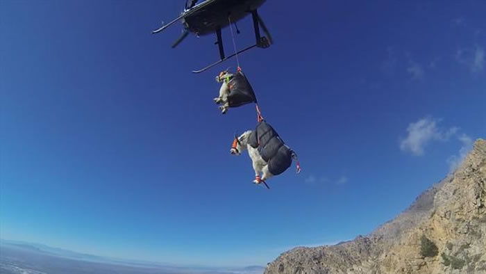 ����������Ұ����ֲ�����ֱ���������������¼�ȥ��������