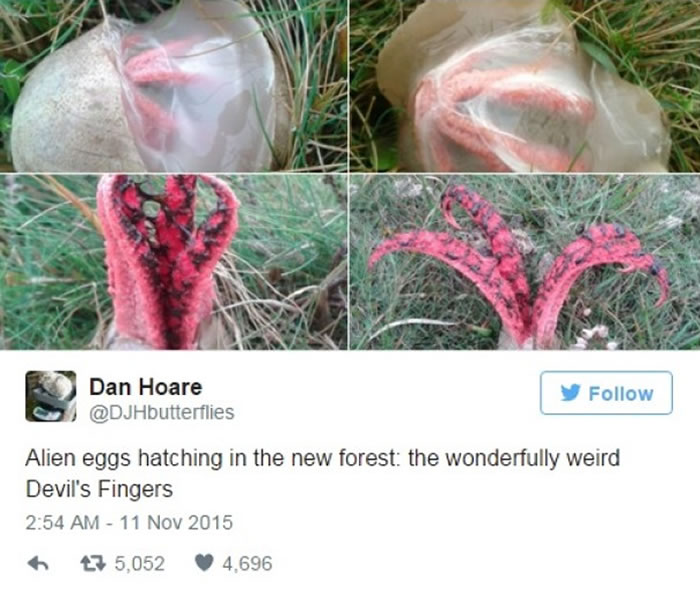 ��������������һֻ������������ĵ�