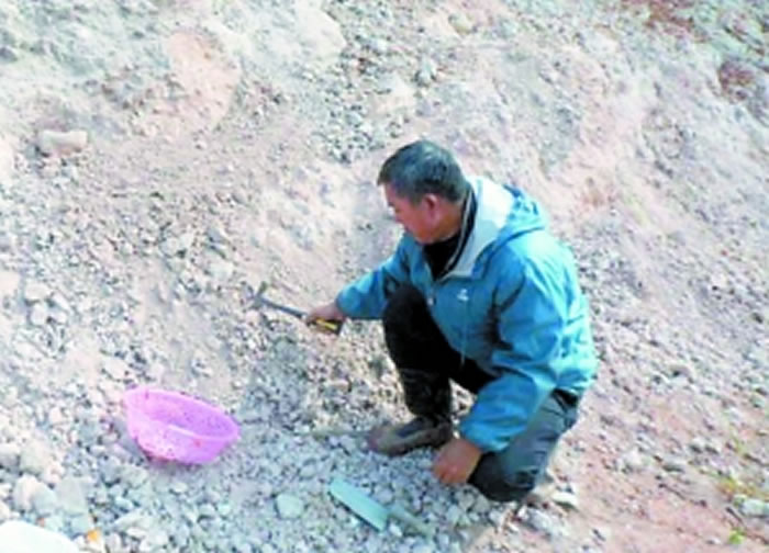 赵灿辉在寻找古生物化石的踪迹
