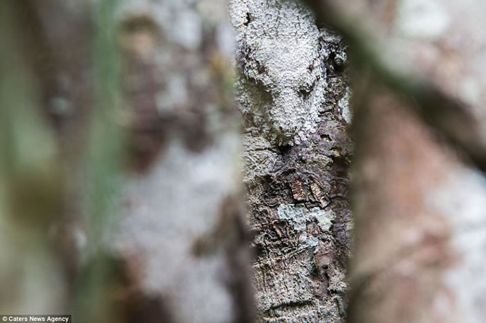 Ӣѧѧ˹ӵ׽ȻеƬ