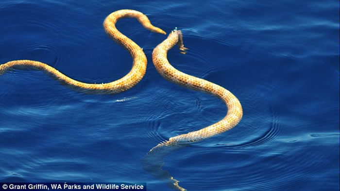 Ĵ³ɺĶ̱ǺߺҶۺڽ