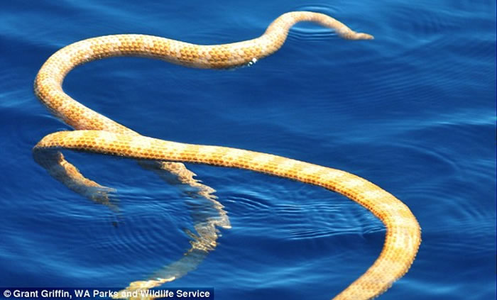 Ĵ³ɺĶ̱ǺߺҶۺڽ