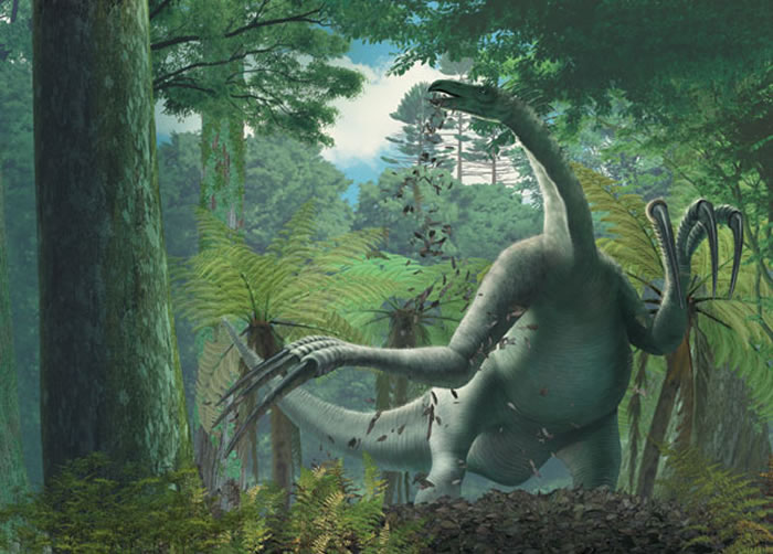 可能再没有比镰刀龙更长的爪子了