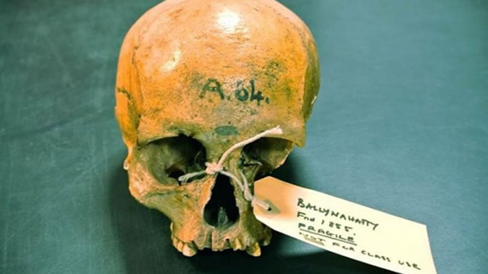 ��߶ȵ��Ŵ��仯�밮��������ʯ��ת�����ͭ��ʱ��ͬʱ����