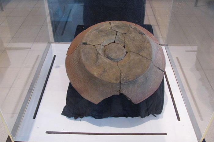 波利尼西亚人的拉皮塔起源