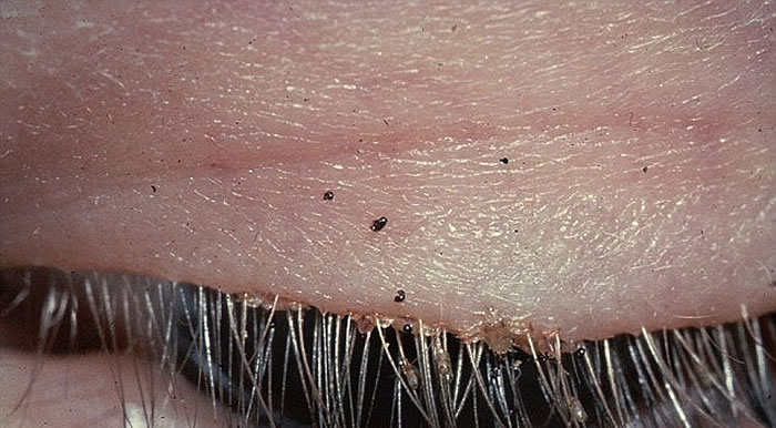 Ů���۾����ʭ����԰��С����Ƕ������ˣ�