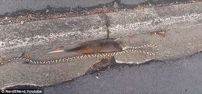 С�������൱������������Ĳ���