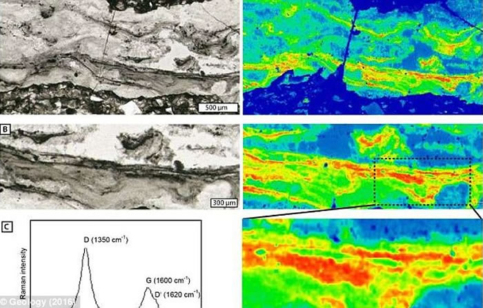 �ϷǰͲ������Ҵ��ĵر���ǻ�з���30�ڶ���ǰ΢�����������֤��