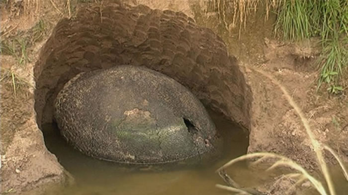 ʯߺʾʱСϪߣ俴Ϫи̥һĶ