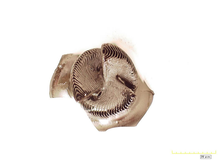 这一图片显示了一个由添加剂制造过程所创建的陶瓷螺旋