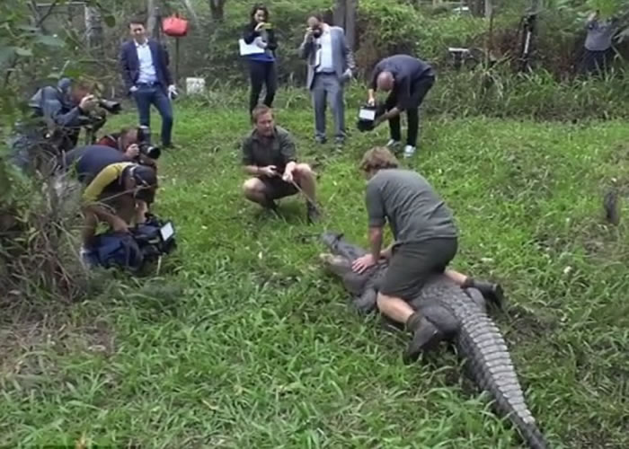 职员将贝齐制服