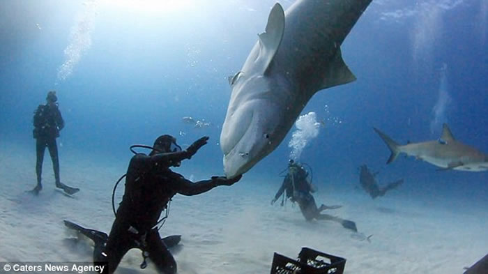 ��������Eli Martinez���ش�һ�ֵĻ������������ϱ���180������