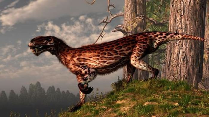 һֻ��������׼�����ԡ����������������޵�һ�ࡣ���ǵ�ʱ���������˺������ѣ�