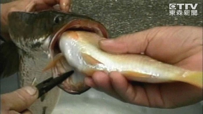 ˮɱֳƺŵġ㻢רųѻС㡣