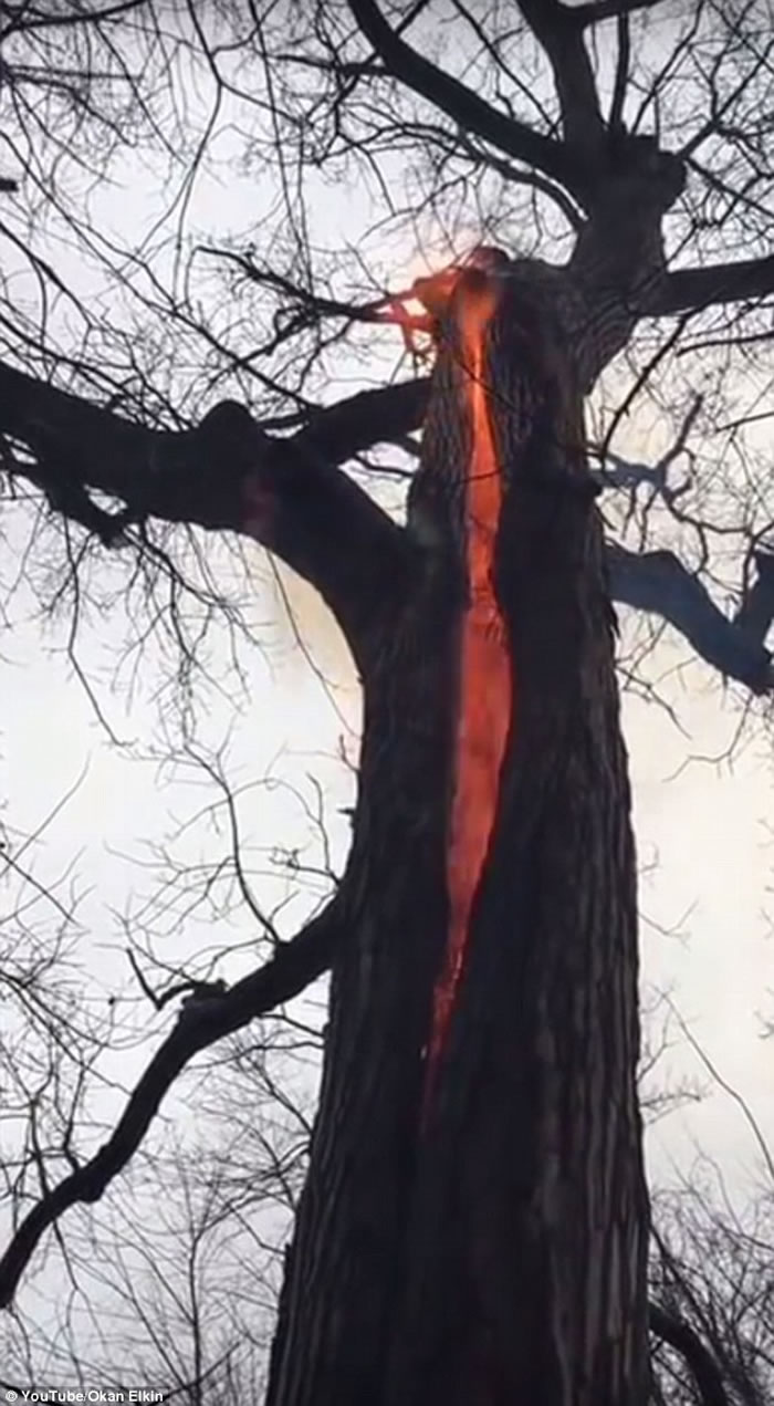 �пյ����ɲ������