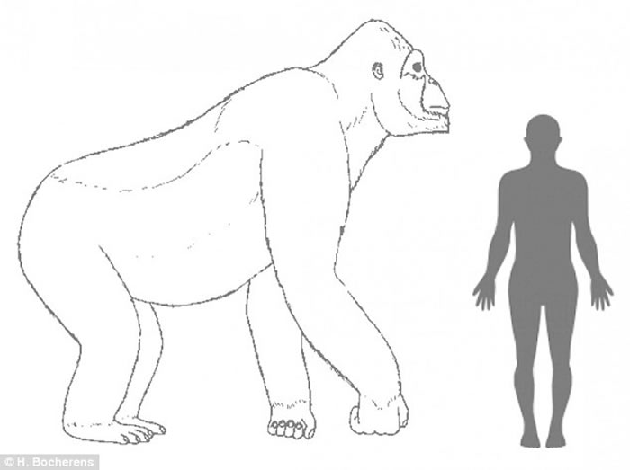 ������10����ǰ��Զ�ž�Գ���ڵ�ʱ�����Ǩ������ɭ�ֳ�Ϊ���ԭ���Ӷ�ʧȥ����Ϣ������ʳ����Դ���������������ʧ��