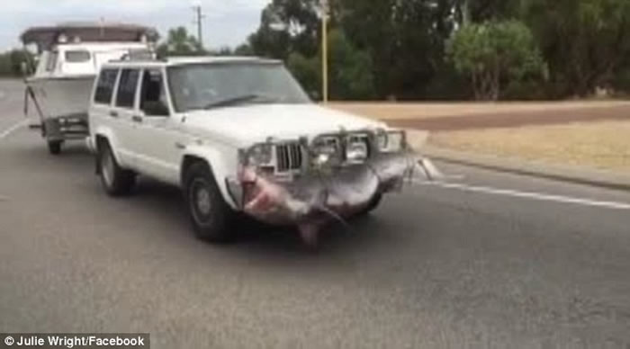 ��������������������ո��������ŭ