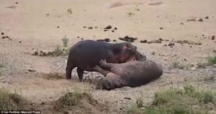 �Ϸǿ�³����ҹ�԰�������Ұţ����˺ҧʬ����ҫ������λ