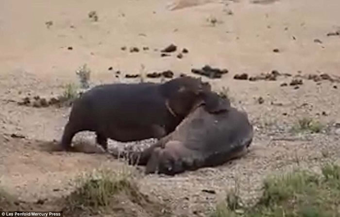 �Ϸǿ�³����ҹ�԰�������Ұţ����˺ҧʬ����ҫ������λ