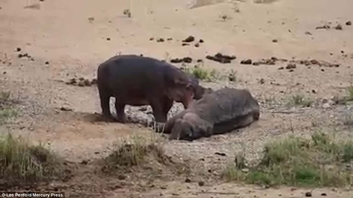 �Ϸǿ�³����ҹ�԰�������Ұţ����˺ҧʬ����ҫ������λ