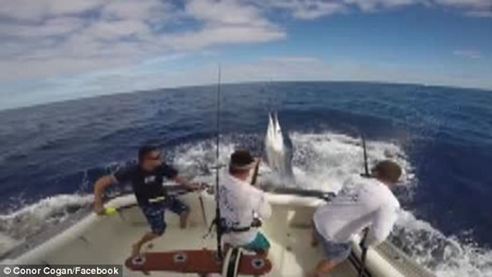 �Ĵ����������ڴ���������ʱ��㱻һ��ͻȻ�ڳ�ˮ��Ĵ������������