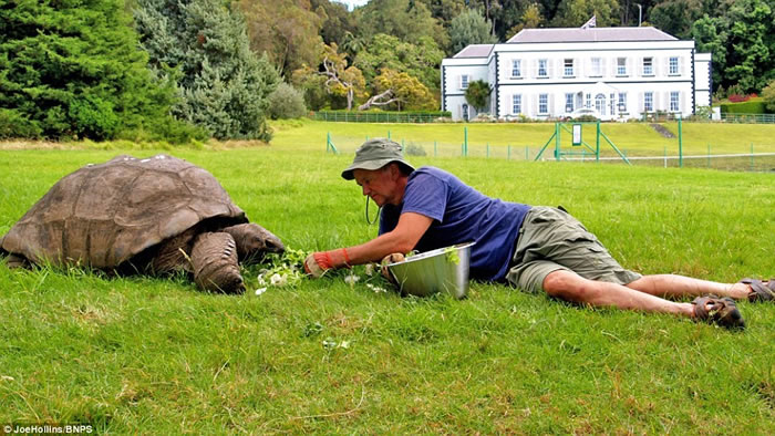 霍连斯(右)替乔纳森(左)设计营养餐单。