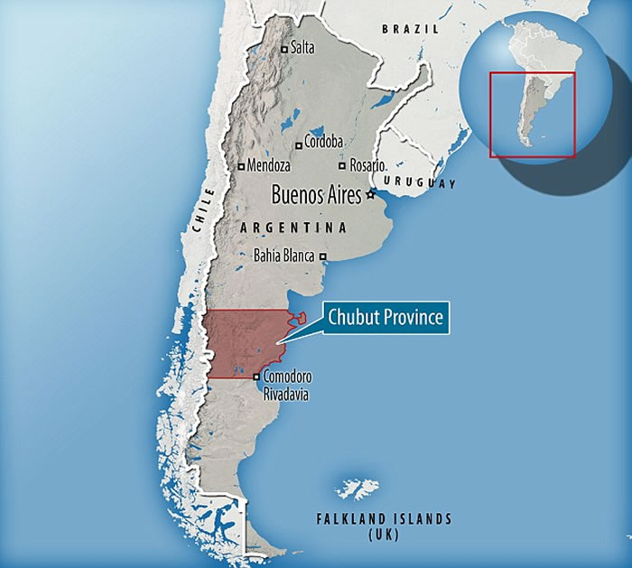 如图所示,这具雷龙骨骼化石发现于阿根廷丘布特省沙漠地区的La Flecha农场。