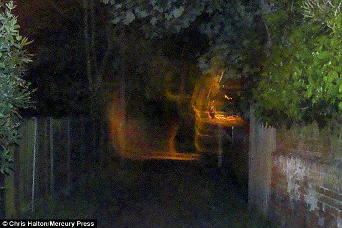 霍尔顿表示见到疑似3个鬼魂抬着1个女巫的身体。