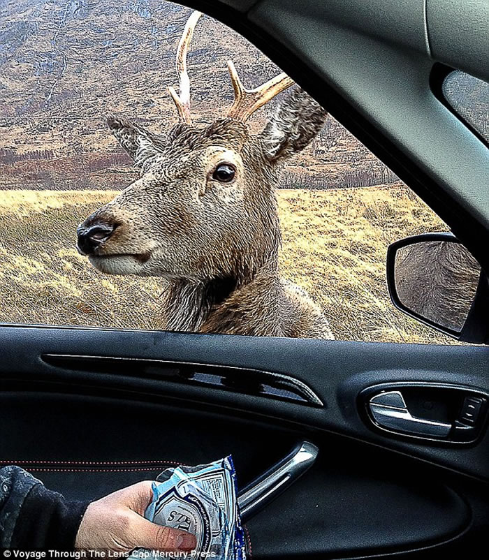 �ո������ٷ�Ͽ��С¹�����ο����е���ʳ