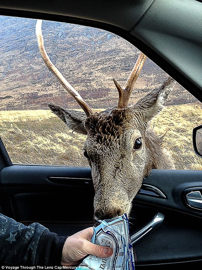 �ո������ٷ�Ͽ��С¹�����ο����е���ʳ