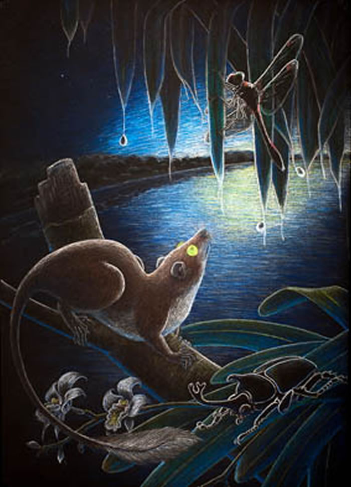 麒麟树鼩复原图(倪喜军供图)