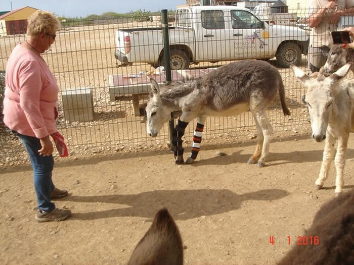 �򳵻�ǰ�ŷ����Թ��۵�¿��Maroesia������1�³������ٴο��Լ�������վ������·��