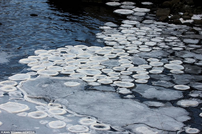 业余摄影爱好者安迪拍下了“冰雪薄饼”的奇景